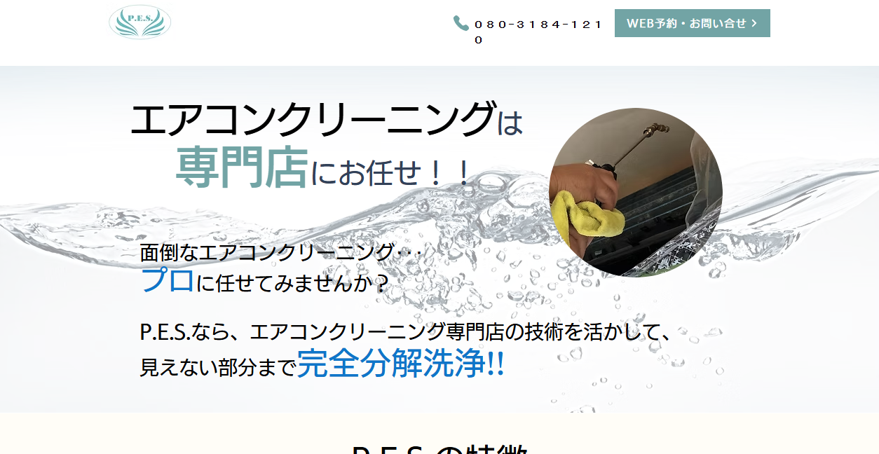 合同会社P.E.S.の公式サイトスクリーンショット