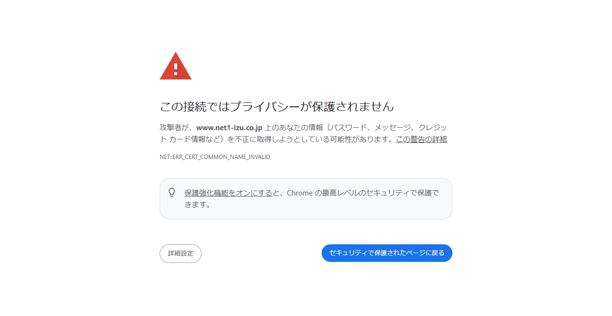 株式会社NET-1の公式サイトスクリーンショット