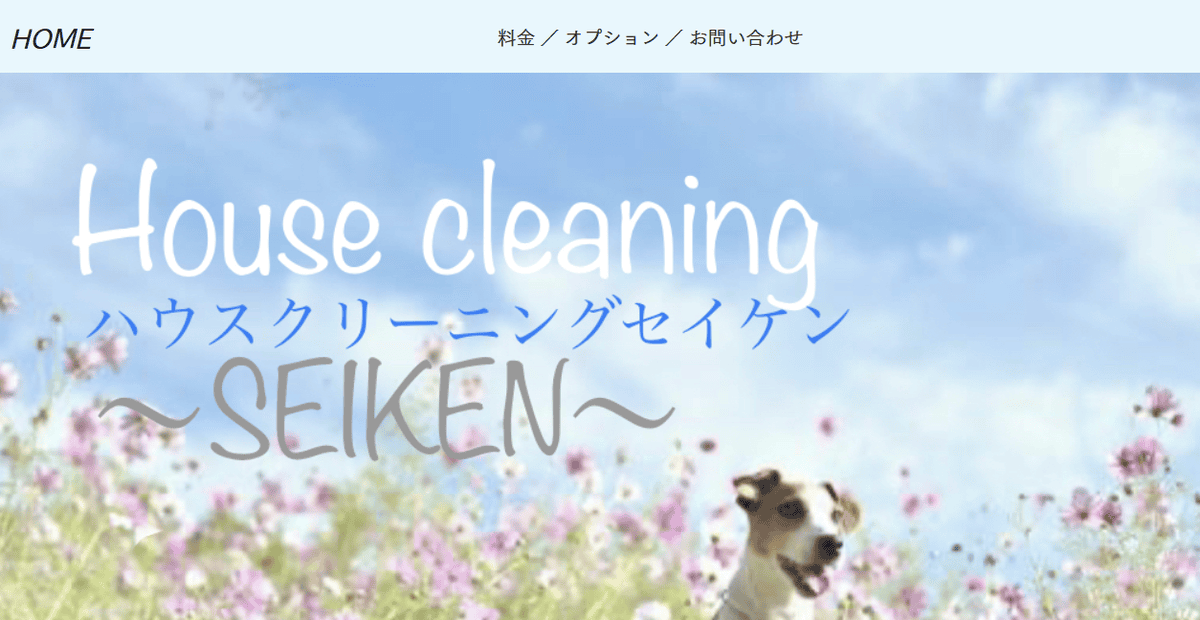 セイケンの公式サイトスクリーンショット
