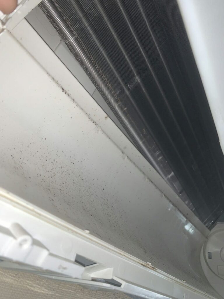 汚れているパナソニックのエアコンの熱交換器