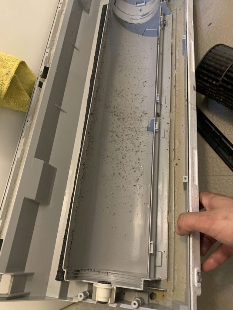 汚れているダイキンのエアコンのドレンパン