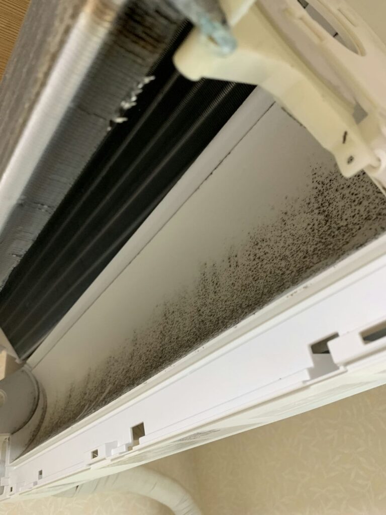汚れているシャープのエアコンのドレンパン