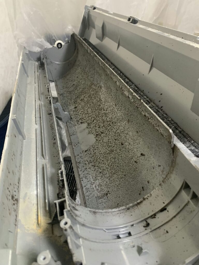汚れているダイキンのエアコンのドレンパン