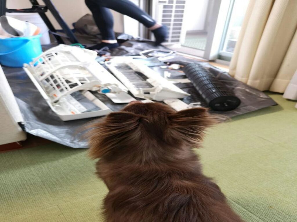 型番AY-G56H2-Wのシャープのエアコンの外観と犬