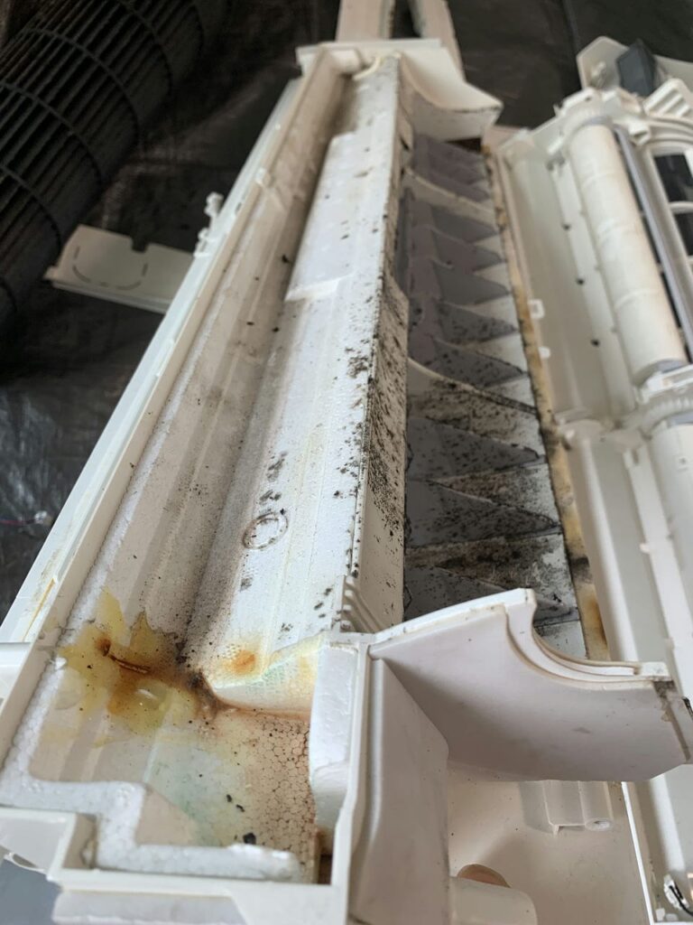 汚れているシャープのエアコンのドレンパン