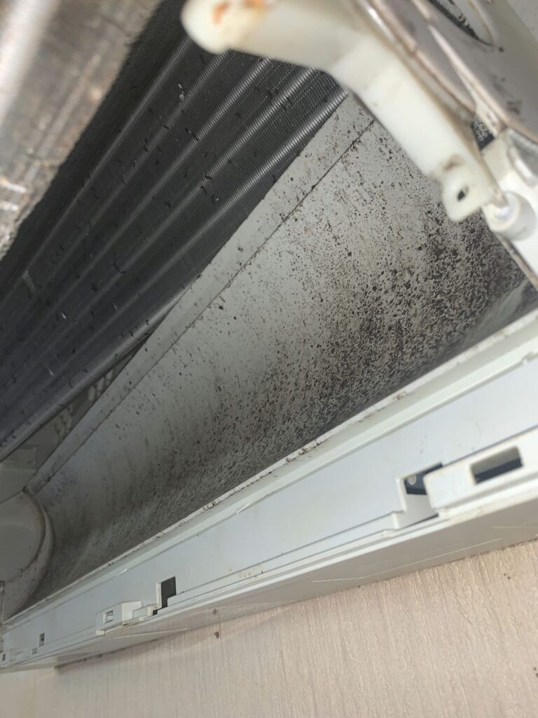汚れているシャープのエアコンのドレンパン