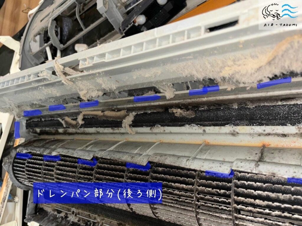 ドレンパンの後ろ側(裏面)。熱交換器側に接する部分にもカビとヘドロ汚れが付着している状態
