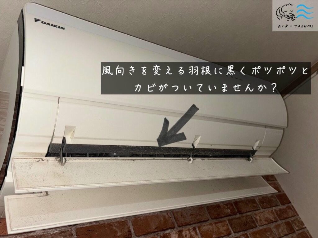 エアコンの吹き出し口に黒いカビが点々と付着している様子