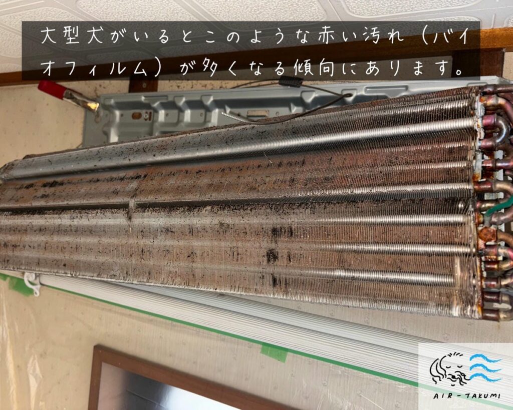 赤くなってしまっている熱交換器