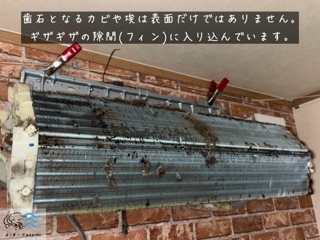熱交換器の表面だけでなく隙間(フィン)にもホコリやカビが入りこんでいる様子