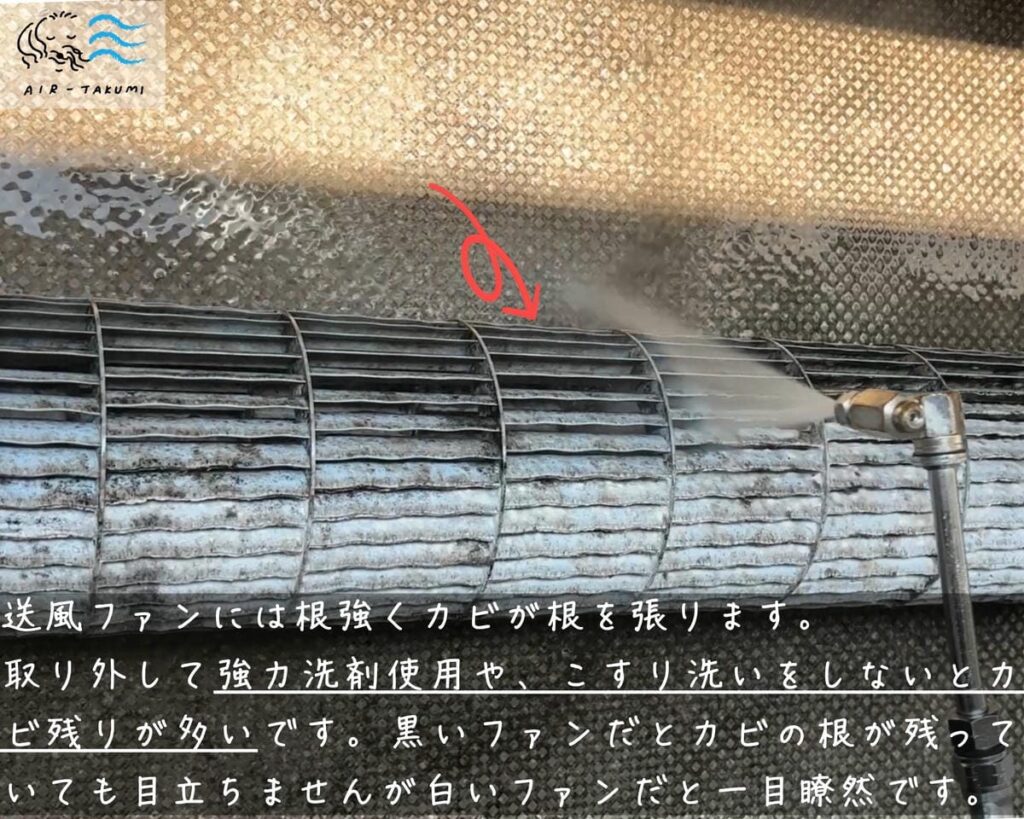 ファンにカビの根がある状態