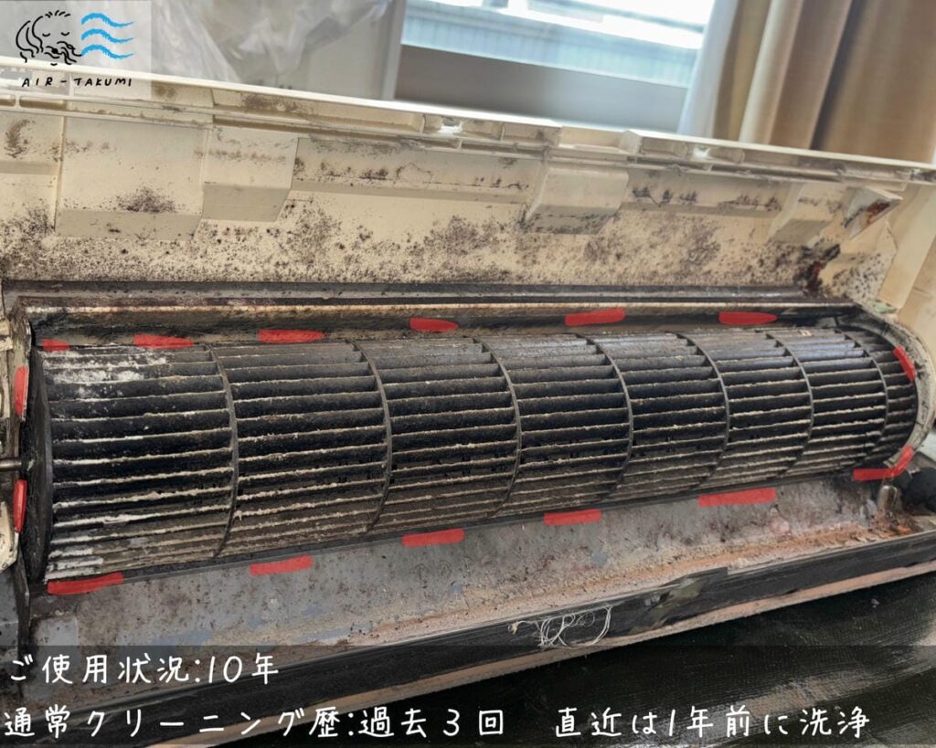 黒色ファン・10年使用