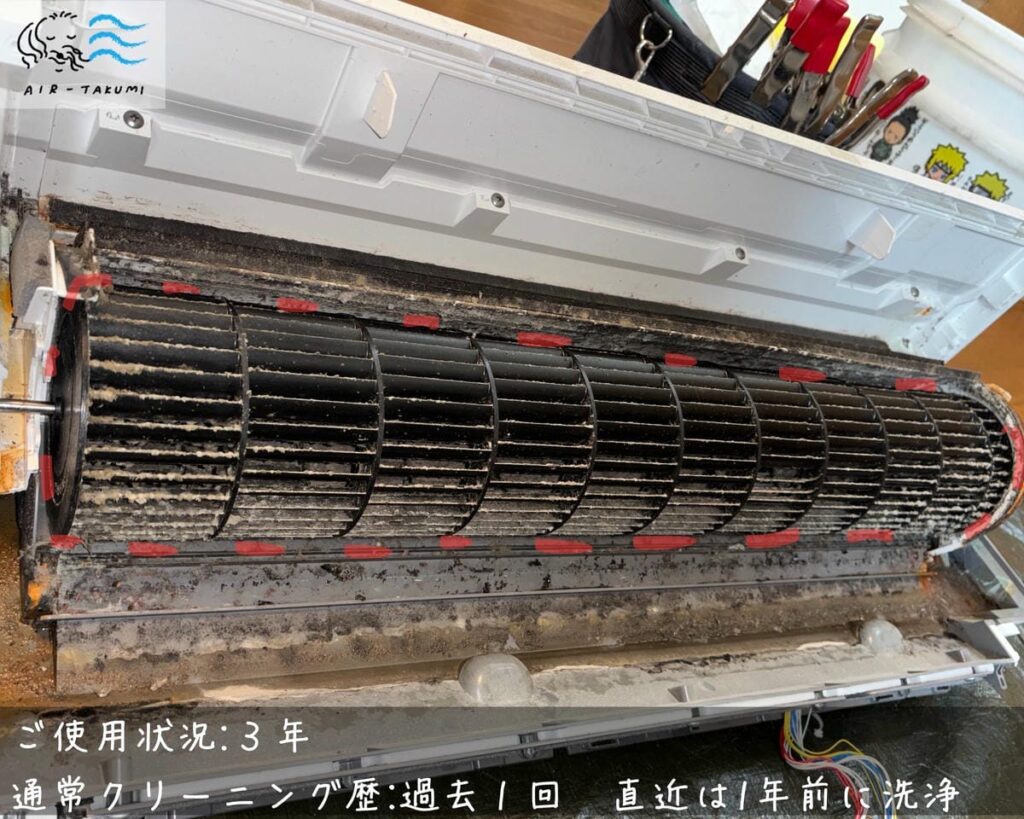 黒色ファン・3年使用