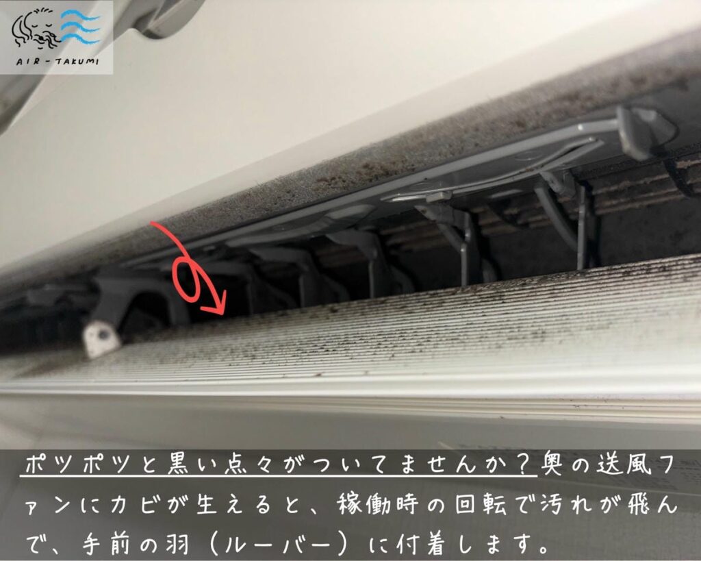 吹き出し口に黒い点々のカビがついている様子
