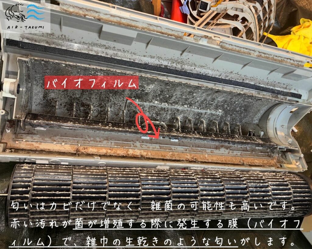 ケーシングでバイオフイルムが発生している様子