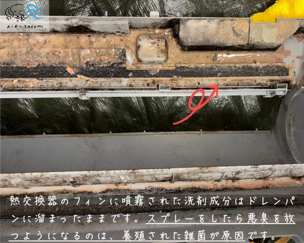 ヘドロ状態になっているドレンパン