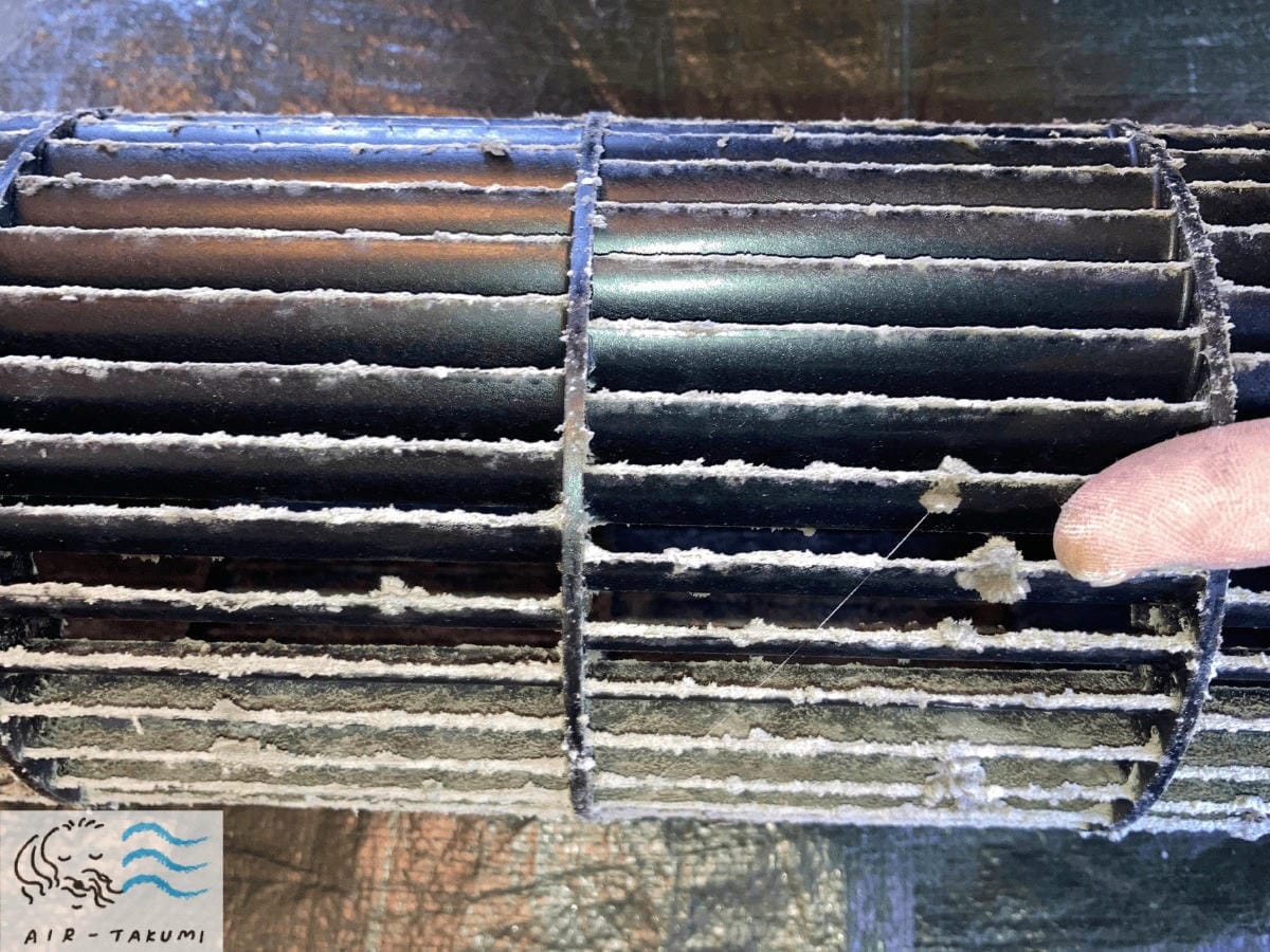 送風ファンに付着したカビ