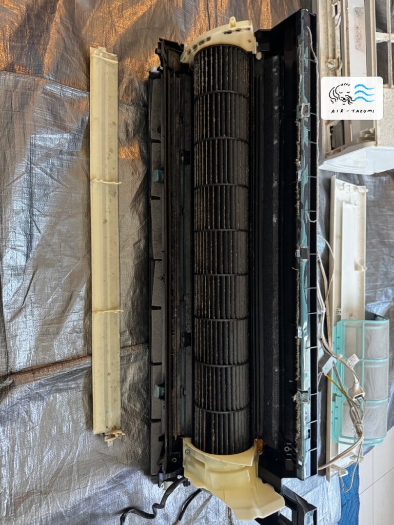 洗浄前の東芝エアコン RAS-2519T(W) の送風ファン